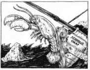 Наследник пиратов Наследник пиратов