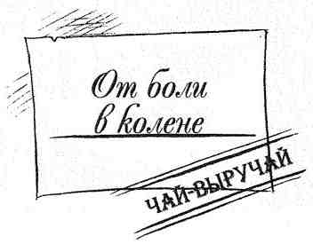 Наследник пиратов Наследник пиратов