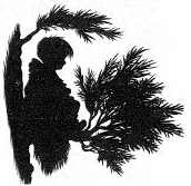 Наследник пиратов Наследник пиратов