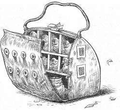 Наследник пиратов Наследник пиратов