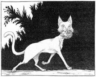 Наследник пиратов Наследник пиратов