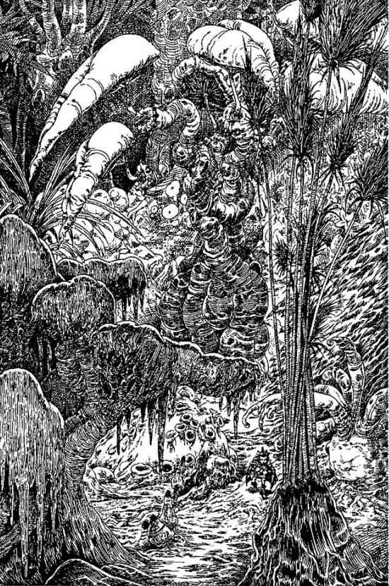 За Темными Лесами За Темными Лесами