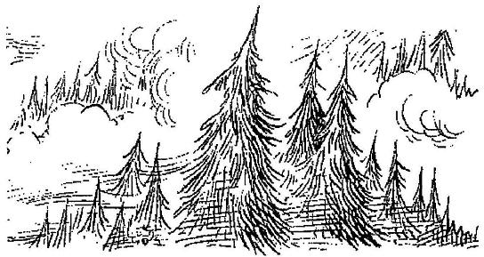 За Темными Лесами За Темными Лесами