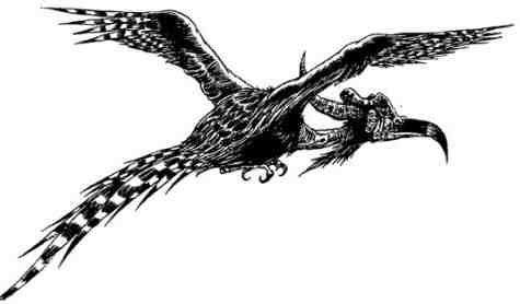 За Темными Лесами За Темными Лесами