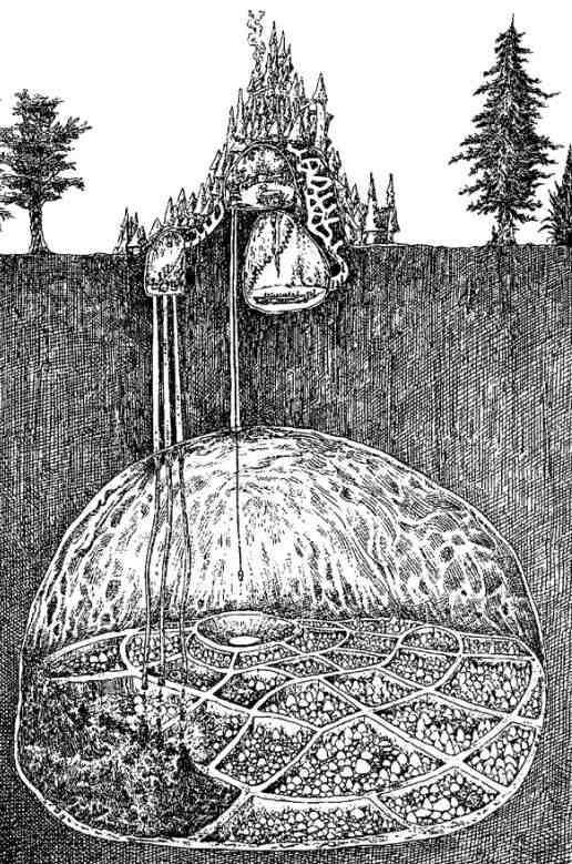 За Темными Лесами За Темными Лесами