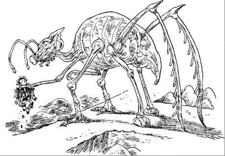 За Темными Лесами За Темными Лесами