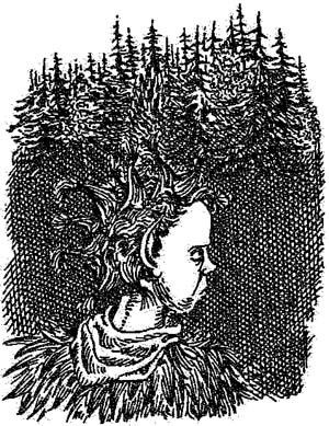 За Темными Лесами За Темными Лесами