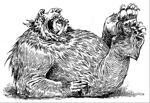 За Темными Лесами За Темными Лесами