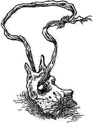 За Темными Лесами За Темными Лесами