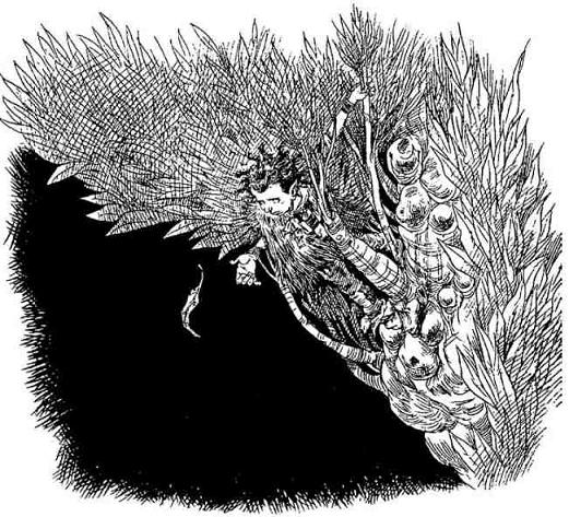 За Темными Лесами За Темными Лесами