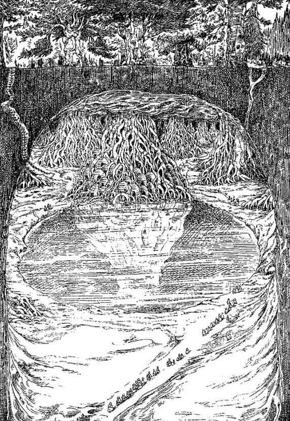 За Темными Лесами За Темными Лесами