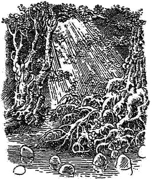 За Темными Лесами За Темными Лесами