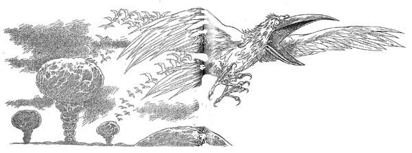 Полночь над Санктафраксом Полночь над Санктафраксом