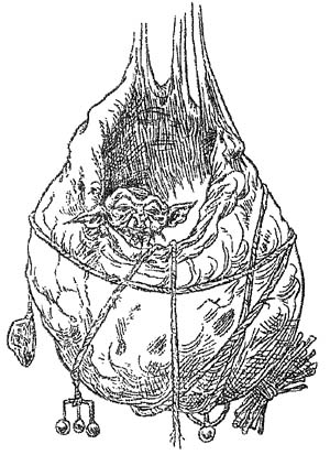 Полночь над Санктафраксом Полночь над Санктафраксом