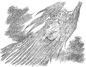 Полночь над Санктафраксом Полночь над Санктафраксом