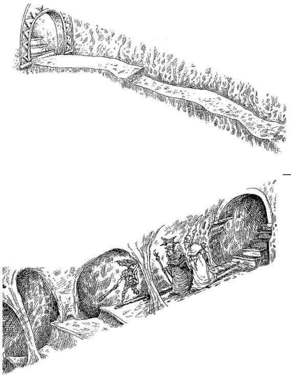 Древний странник Древний странник