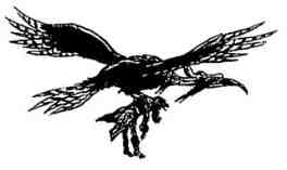 Последний воздушный пират Последний воздушный пират