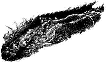 Академик Вокс Академик Вокс