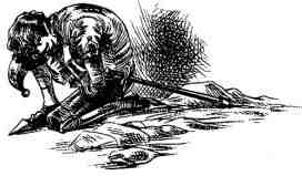 Академик Вокс Академик Вокс