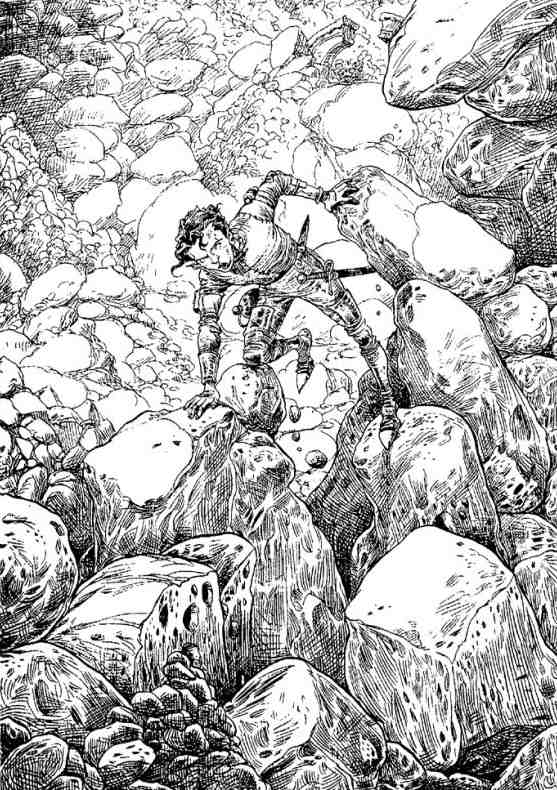 Академик Вокс Академик Вокс