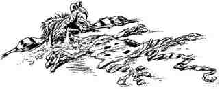 Академик Вокс Академик Вокс