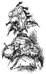 Академик Вокс Академик Вокс