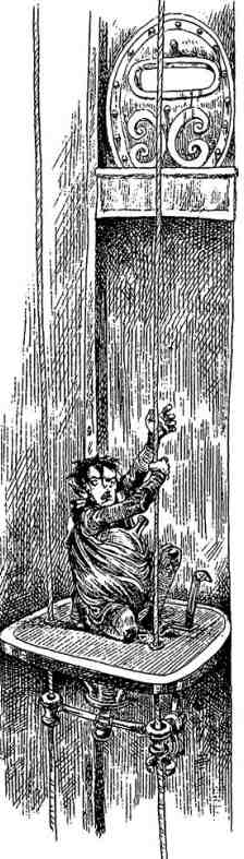 Академик Вокс Академик Вокс