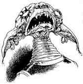 Академик Вокс Академик Вокс