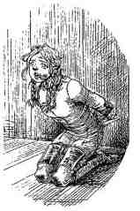 Академик Вокс Академик Вокс