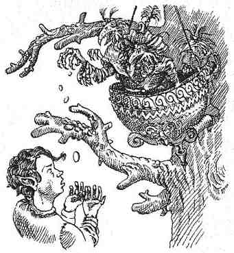 Академик Вокс Академик Вокс