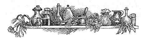 Академик Вокс Академик Вокс