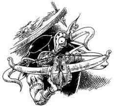 Академик Вокс Академик Вокс