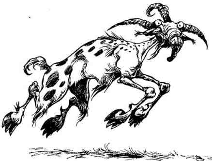 Вольная Пустошь Вольная Пустошь