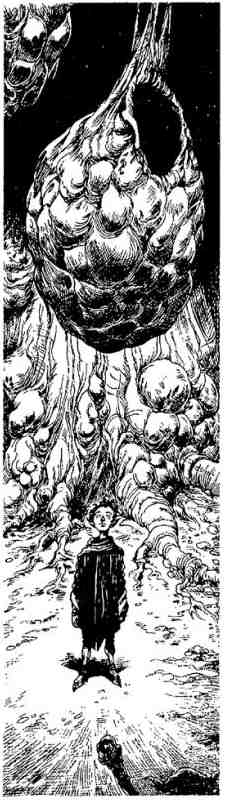 Вольная Пустошь Вольная Пустошь