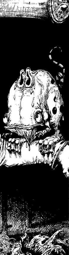 Зимние рыцари Зимние рыцари