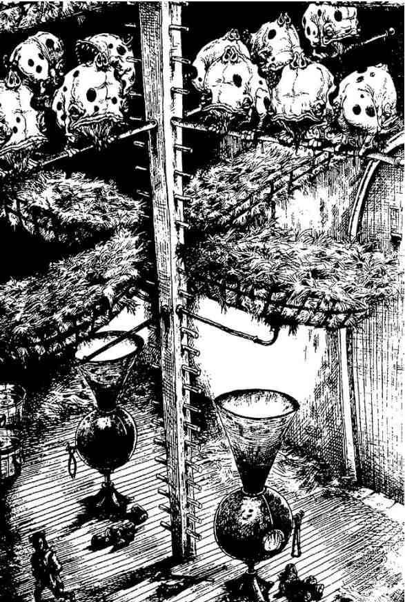 Зимние рыцари Зимние рыцари