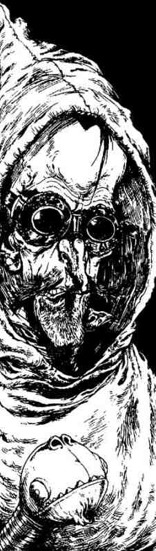 Зимние рыцари Зимние рыцари