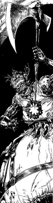 Зимние рыцари Зимние рыцари