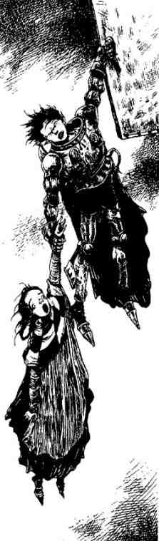 Зимние рыцари Зимние рыцари