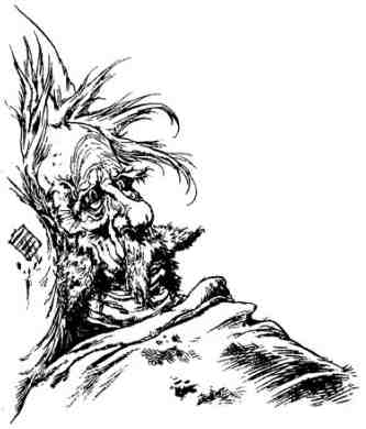 Зимние рыцари Зимние рыцари