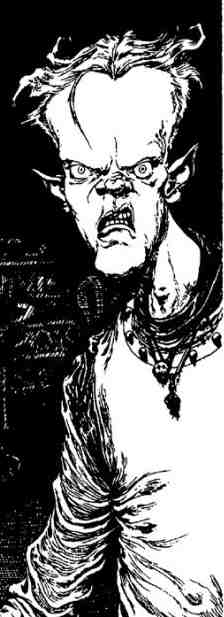 Зимние рыцари Зимние рыцари