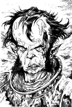 Зимние рыцари Зимние рыцари