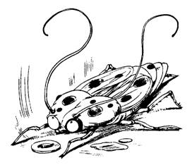 Пришельцы с Плюха Пришельцы с Плюха