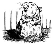 Пришельцы с Плюха Пришельцы с Плюха