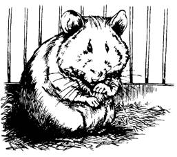 Пришельцы с Плюха Пришельцы с Плюха