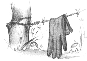 Драконы Обыкновенной фермы Драконы Обыкновенной фермы