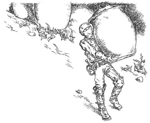 Город крыс Город крыс