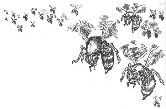 Зыбучие пески Зыбучие пески