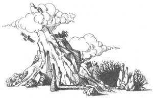 Роуэн из Рина Роуэн из Рина