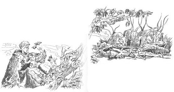 Роуэн и букшахи Роуэн и букшахи